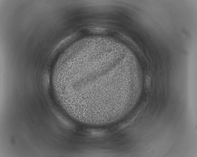 X0000113240733200910081257