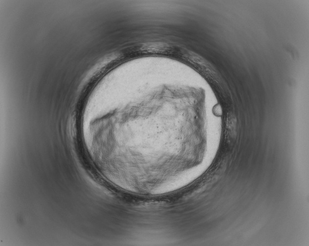 X0000113240734200910081257