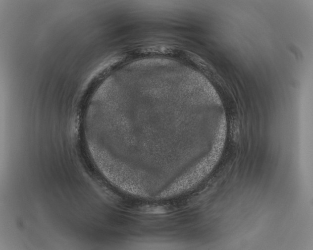 X0000113240735200910081257