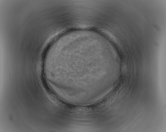 X0000113240736200910081257