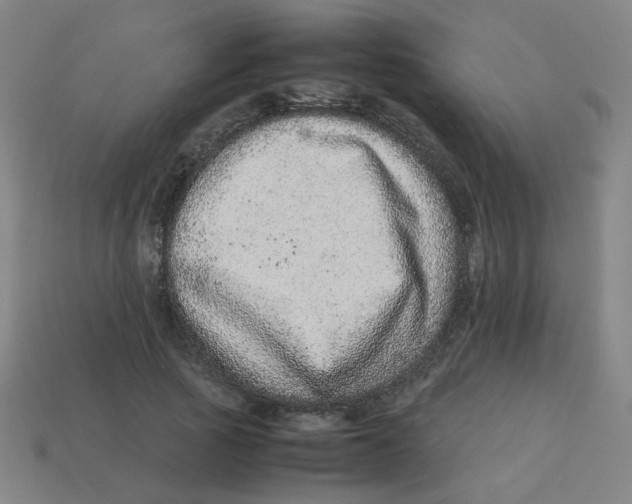 X0000113240737200910081257