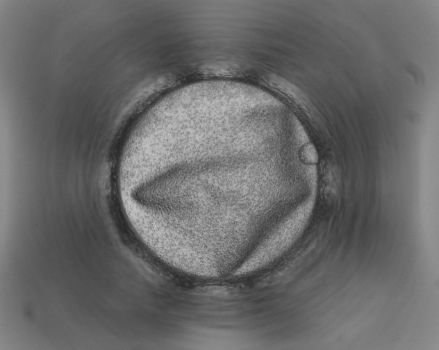 X0000113240738200910081257