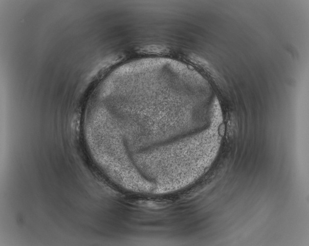 X0000113240739200910081257