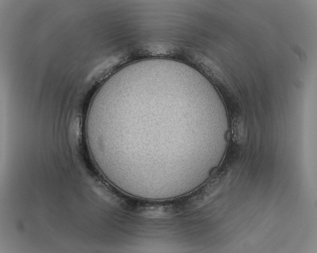 X0000113240740200910081257