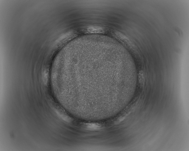 X0000113240741200910081257