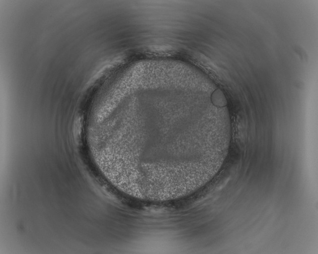 X0000113240742200910081257