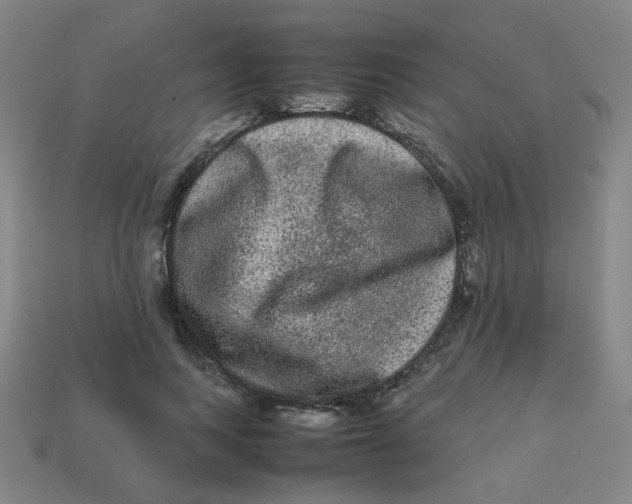 X0000113240743200910081257