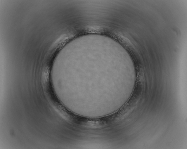 X0000113240744200910081257