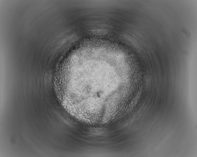X0000113240745200910081257
