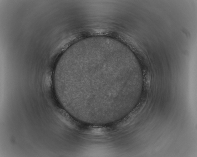 X0000113240746200910081257