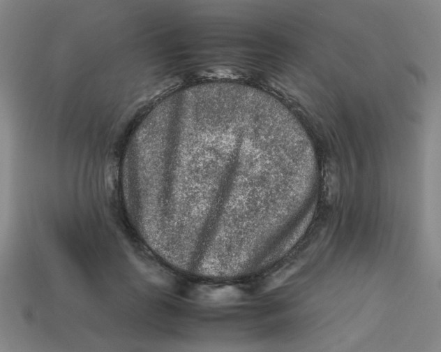 X0000113240747200910081257