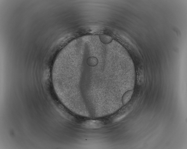 X0000113240748200910081257