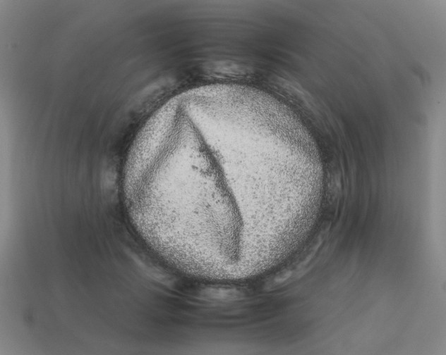 X0000113240749200910081257