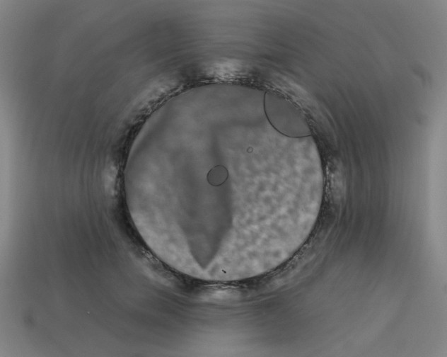 X0000113240750200910081257