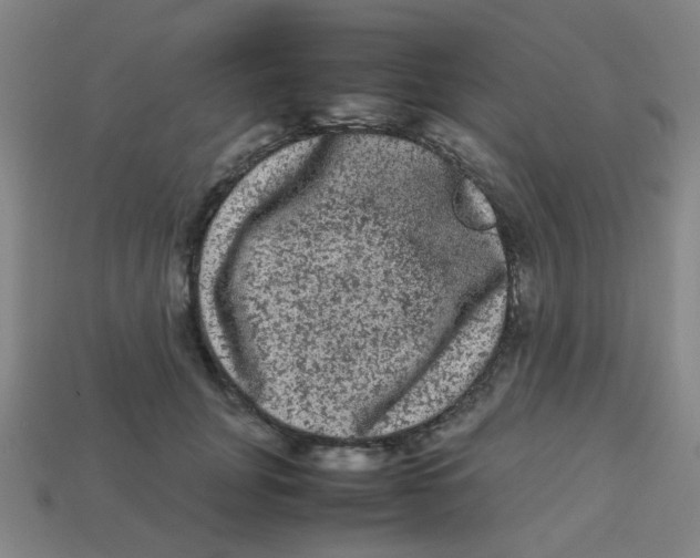 X0000113240751200910081257