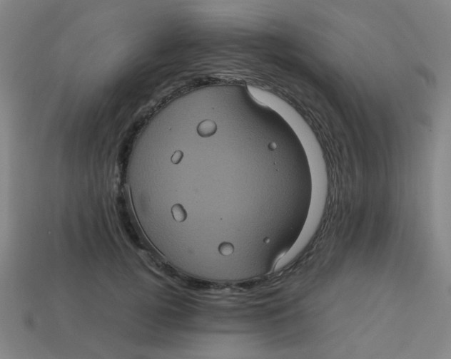 X0000113240752200910081257