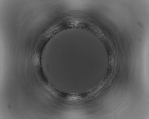 X0000113240754200910081257