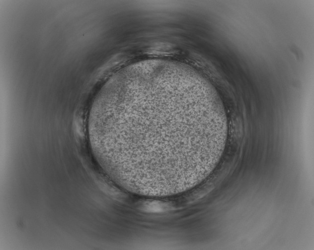 X0000113240755200910081257