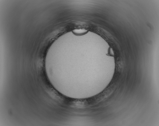 X0000113240756200910081258