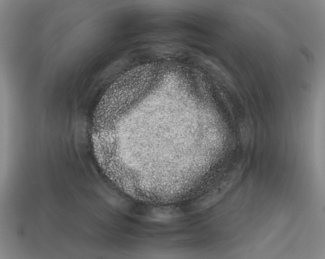 X0000113240757200910081258