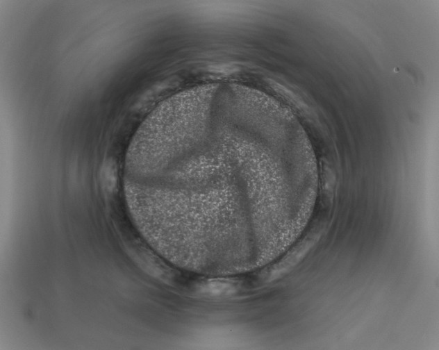 X0000113240758200910081258