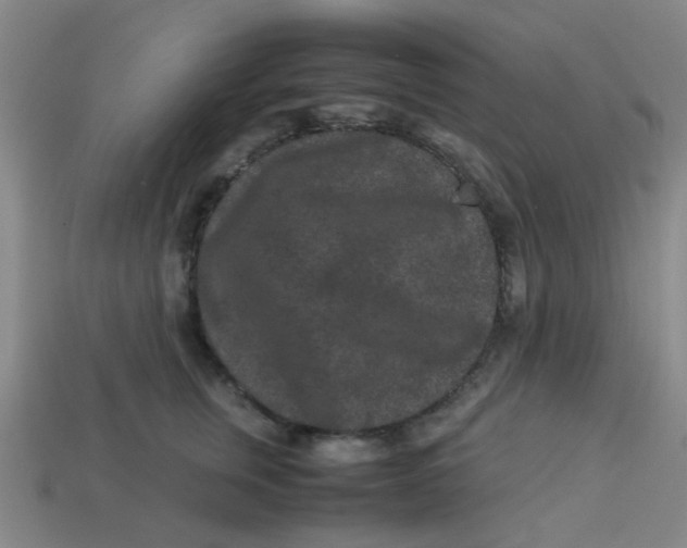 X0000113240759200910081258