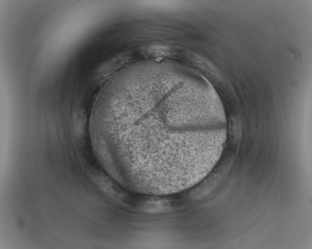 X0000113240760200910081258