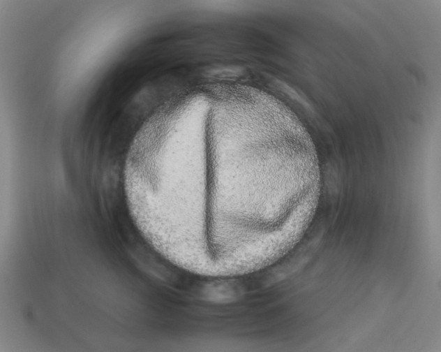 X0000113240761200910081258