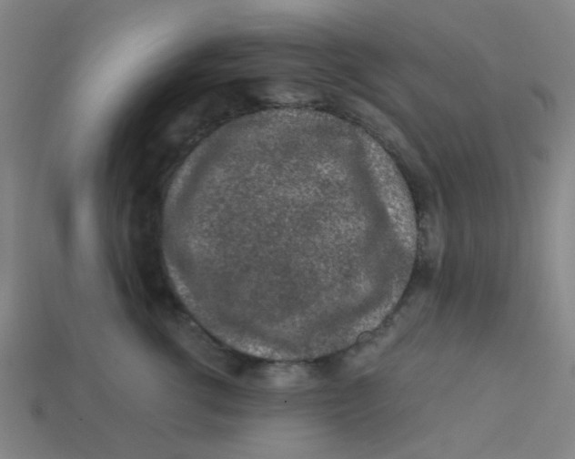 X0000113240762200910081258