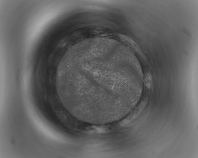 X0000113240763200910081258