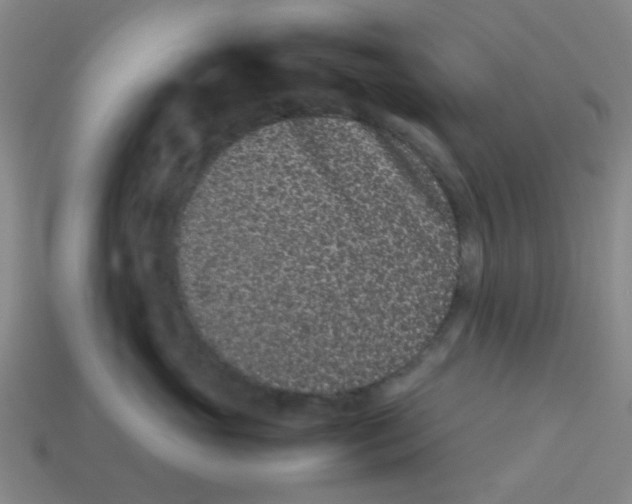 X0000113240765200910081258