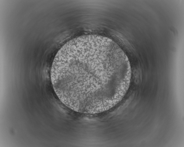 X0000113240770200910081257