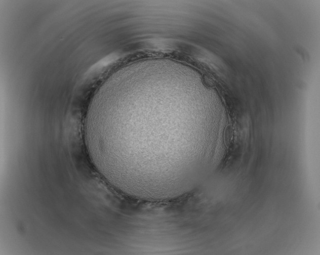 X0000113240773200910081257