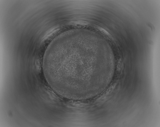 X0000113240774200910081257