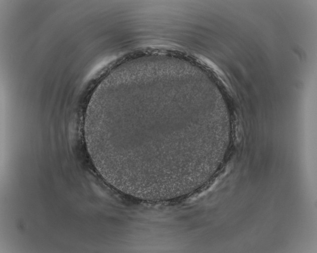 X0000113240775200910081257