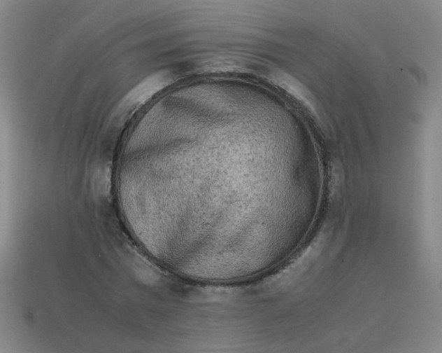 X0000113240777200910081257