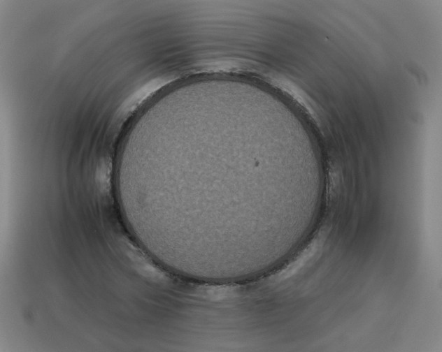 X0000113240778200910081257
