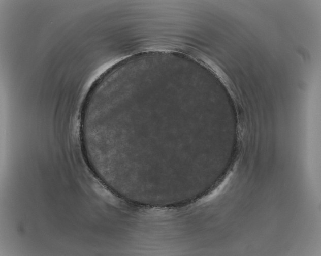 X0000113240779200910081257