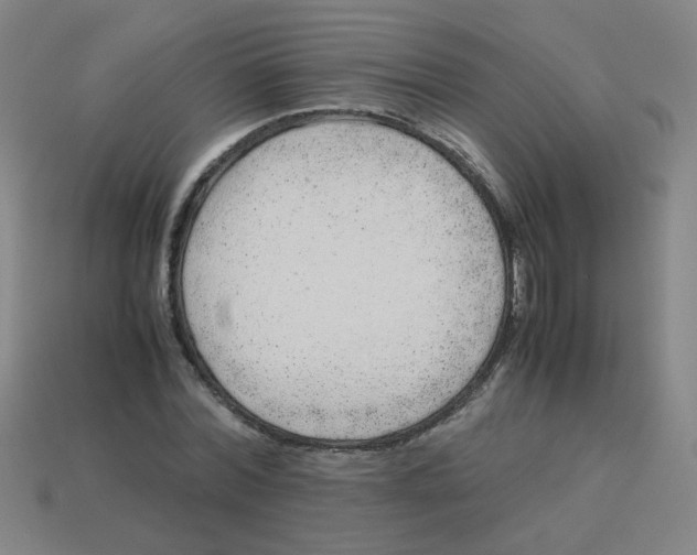 X0000113240780200910081257