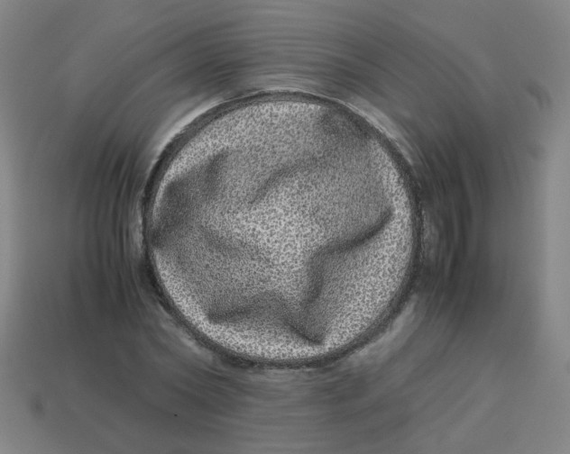 X0000113240782200910081257