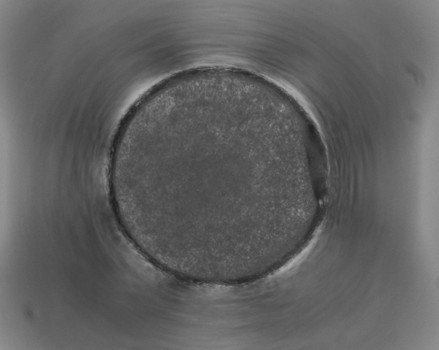 X0000113240783200910081257