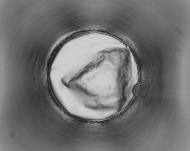 X0000113240784200910081257