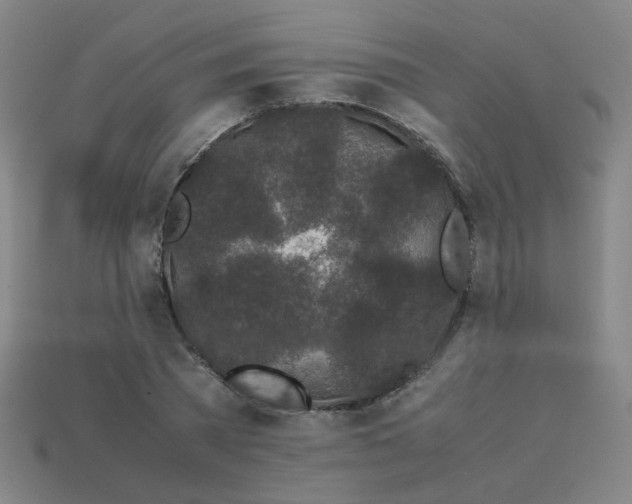 X0000113240785200910081257