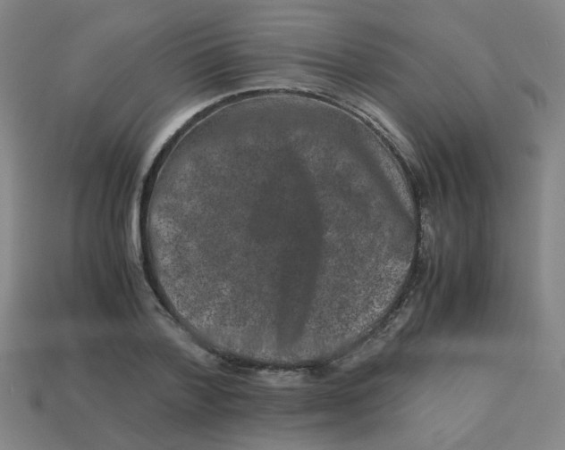 X0000113240788200910081257