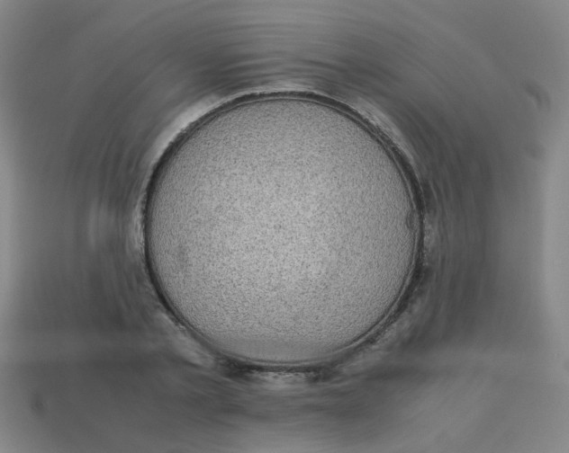 X0000113240789200910081257