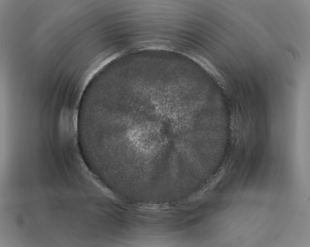 X0000113240790200910081257
