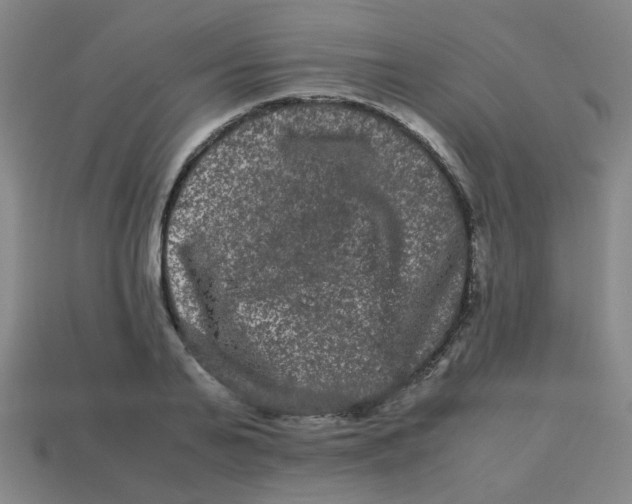 X0000113240791200910081257