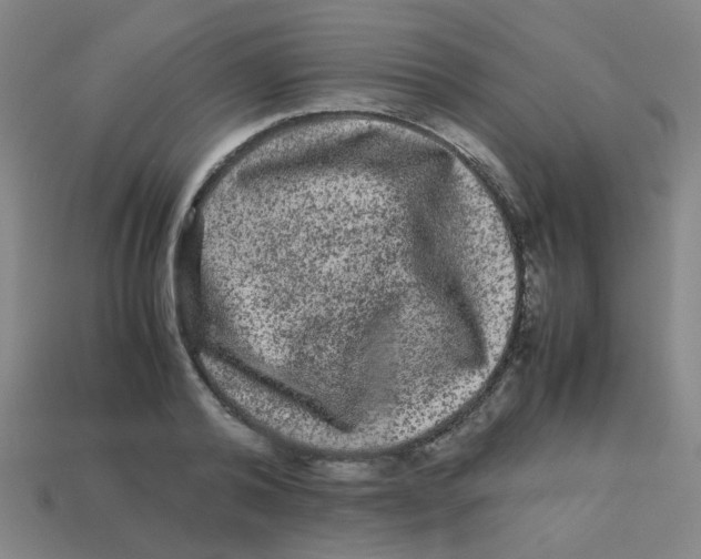 X0000113240792200910081257