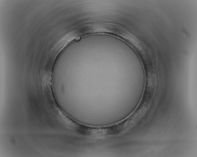 X0000113240793200910081257