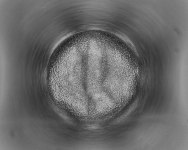 X0000113240798200910081256